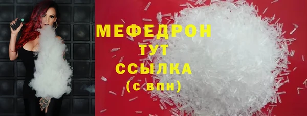 индика Кинешма