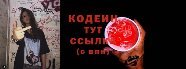 индика Кинешма