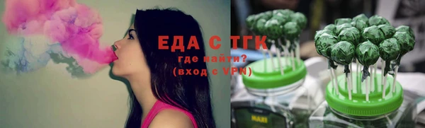 индика Кинешма