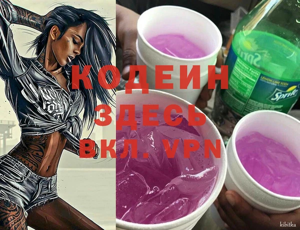 apvp Киренск