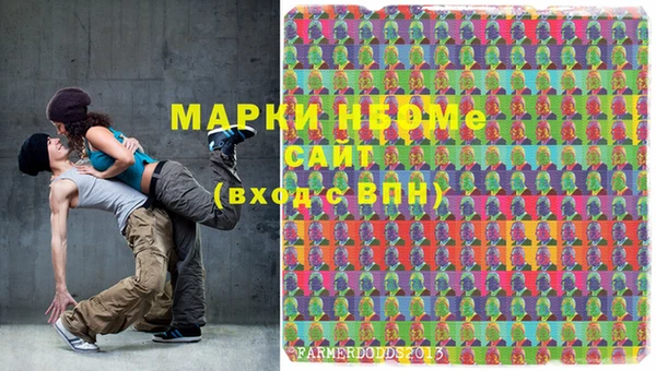 индика Кинешма