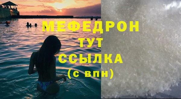 индика Кинешма