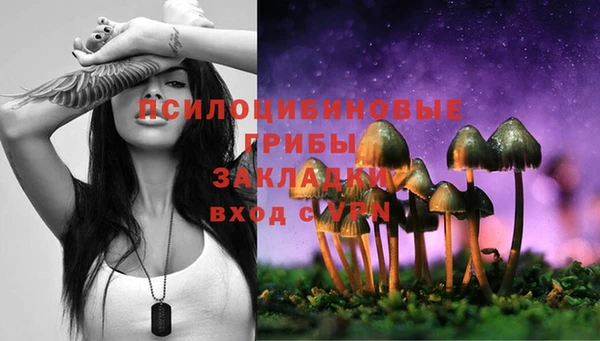 прущая мука Кодинск