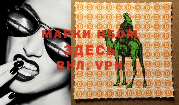индика Кинешма