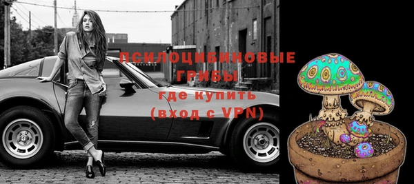 хмурый Козельск