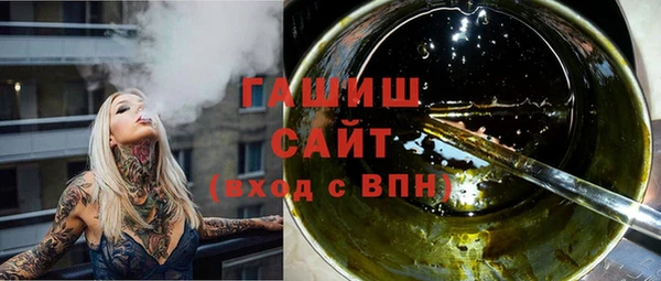индика Кинешма