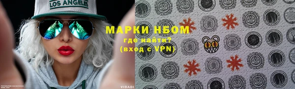 индика Кинешма