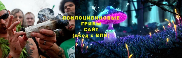 apvp Киренск