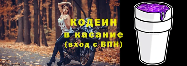 индика Кинешма