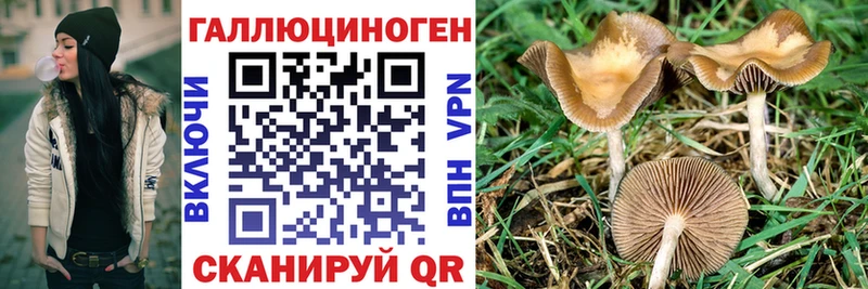 Галлюциногенные грибы ЛСД Кораблино